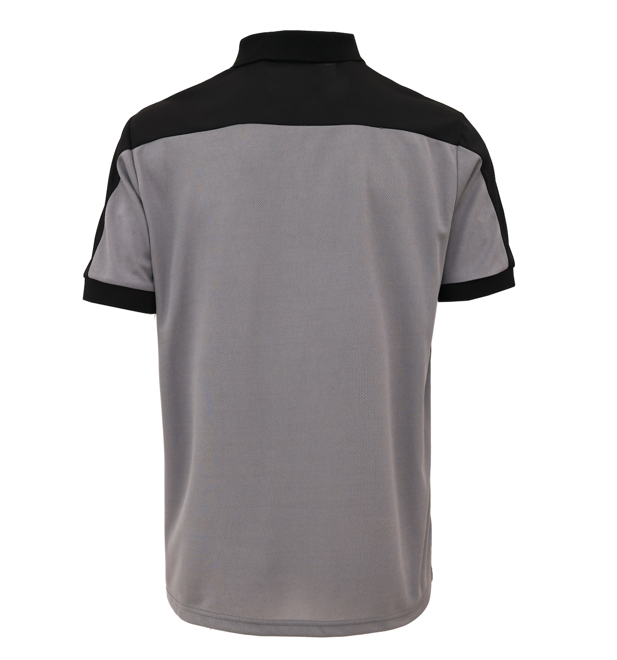 Wrinkle Free Polo Shirt （2 colors)